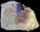 Azurite Crystal in Matrix - Morocco #49447-1